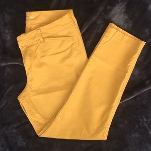 Mustard color Pants